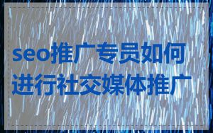 seo推广专员如何进行社交媒体推广
