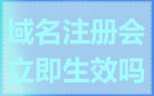 域名注册会立即生效吗