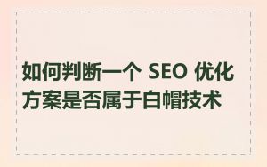 如何判断一个 SEO 优化方案是否属于白帽技术