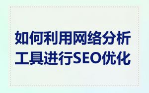 如何利用网络分析工具进行SEO优化