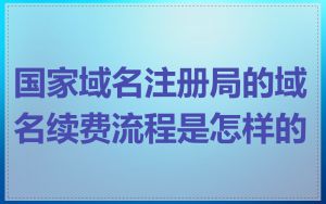 国家域名注册局的域名续费流程是怎样的