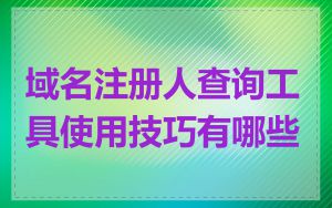 域名注册人查询工具使用技巧有哪些