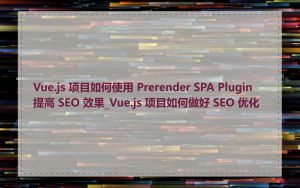 Vue.js 项目如何使用 Prerender SPA Plugin 提高 SEO 效果_Vue.js 项目如何做好 SEO 优化