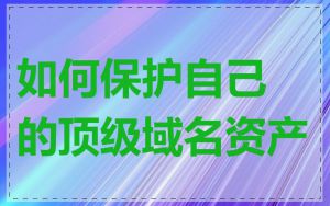 如何保护自己的顶级域名资产