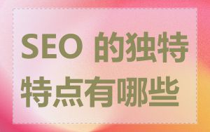 SEO 的独特特点有哪些