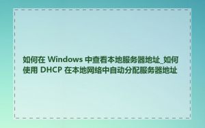 如何在 Windows 中查看本地服务器地址_如何使用 DHCP 在本地网络中自动分配服务器地址