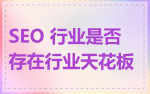 SEO 行业是否存在行业天花板