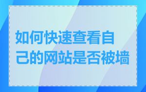 如何快速查看自己的网站是否被墙