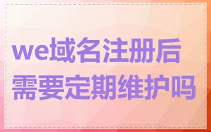 we域名注册后需要定期维护吗