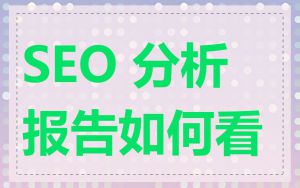 SEO 分析报告如何看