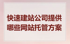快速建站公司提供哪些网站托管方案