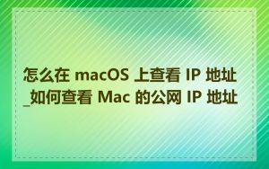 怎么在 macOS 上查看 IP 地址_如何查看 Mac 的公网 IP 地址