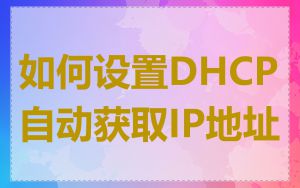如何设置DHCP自动获取IP地址