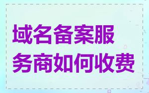 域名备案服务商如何收费