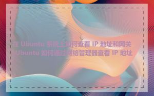 在 Ubuntu 系统上如何查看 IP 地址和网关_Ubuntu 如何通过网络管理器查看 IP 地址