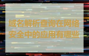 域名解析查询在网络安全中的应用有哪些