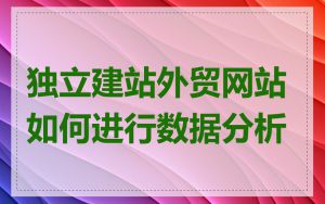 独立建站外贸网站如何进行数据分析