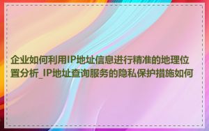 企业如何利用IP地址信息进行精准的地理位置分析_IP地址查询服务的隐私保护措施如何
