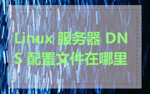 Linux 服务器 DNS 配置文件在哪里