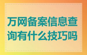 万网备案信息查询有什么技巧吗