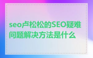 seo卢松松的SEO疑难问题解决方法是什么