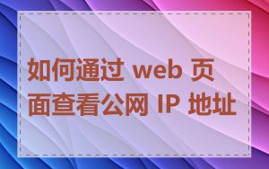 如何通过 web 页面查看公网 IP 地址