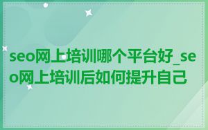 seo网上培训哪个平台好_seo网上培训后如何提升自己