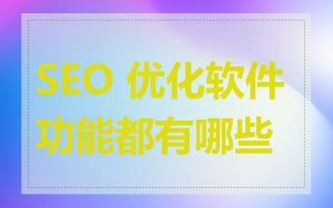 SEO 优化软件功能都有哪些