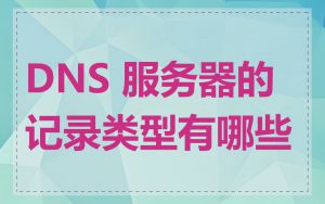 DNS 服务器的记录类型有哪些