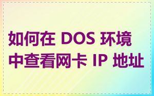 如何在 DOS 环境中查看网卡 IP 地址