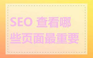 SEO 查看哪些页面最重要