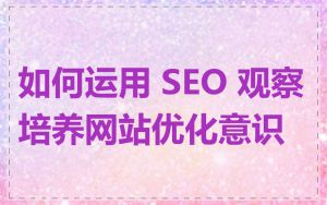 如何运用 SEO 观察培养网站优化意识