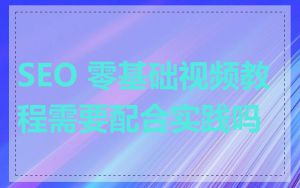 SEO 零基础视频教程需要配合实践吗