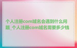 个人注册com域名会遇到什么问题_个人注册com域名需要多少钱