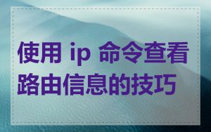 使用 ip 命令查看路由信息的技巧
