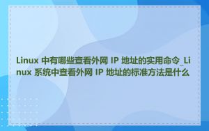 Linux 中有哪些查看外网 IP 地址的实用命令_Linux 系统中查看外网 IP 地址的标准方法是什么