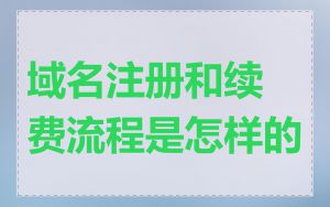 域名注册和续费流程是怎样的