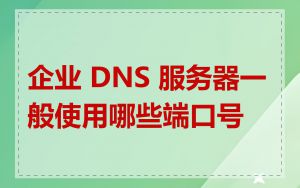 企业 DNS 服务器一般使用哪些端口号