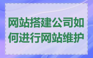 网站搭建公司如何进行网站维护