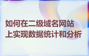 如何在二级域名网站上实现数据统计和分析