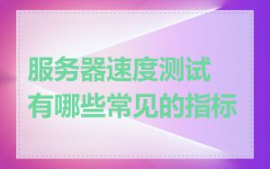服务器速度测试有哪些常见的指标