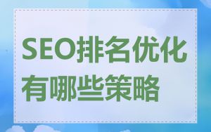SEO排名优化有哪些策略