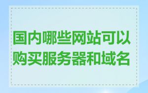 国内哪些网站可以购买服务器和域名
