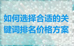 如何选择合适的关键词排名价格方案