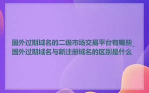 国外过期域名的二级市场交易平台有哪些_国外过期域名与新注册域名的区别是什么