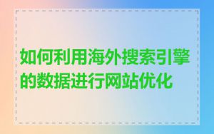 如何利用海外搜索引擎的数据进行网站优化