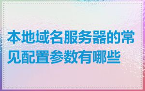 本地域名服务器的常见配置参数有哪些