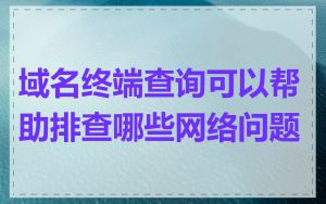 域名终端查询可以帮助排查哪些网络问题