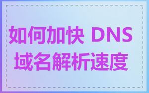 如何加快 DNS 域名解析速度