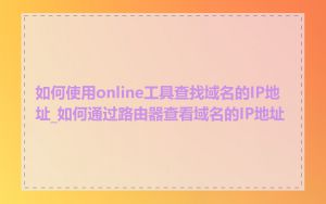 如何使用online工具查找域名的IP地址_如何通过路由器查看域名的IP地址